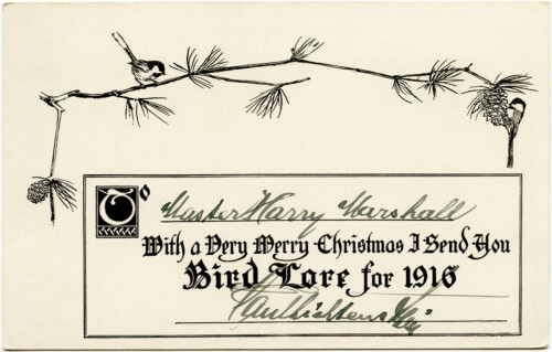 Free printable birds Christmas tree postcard