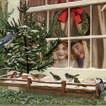 Free printable birds Christmas tree postcard