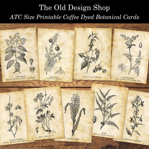 printable coffee dyed botanical ATC cards