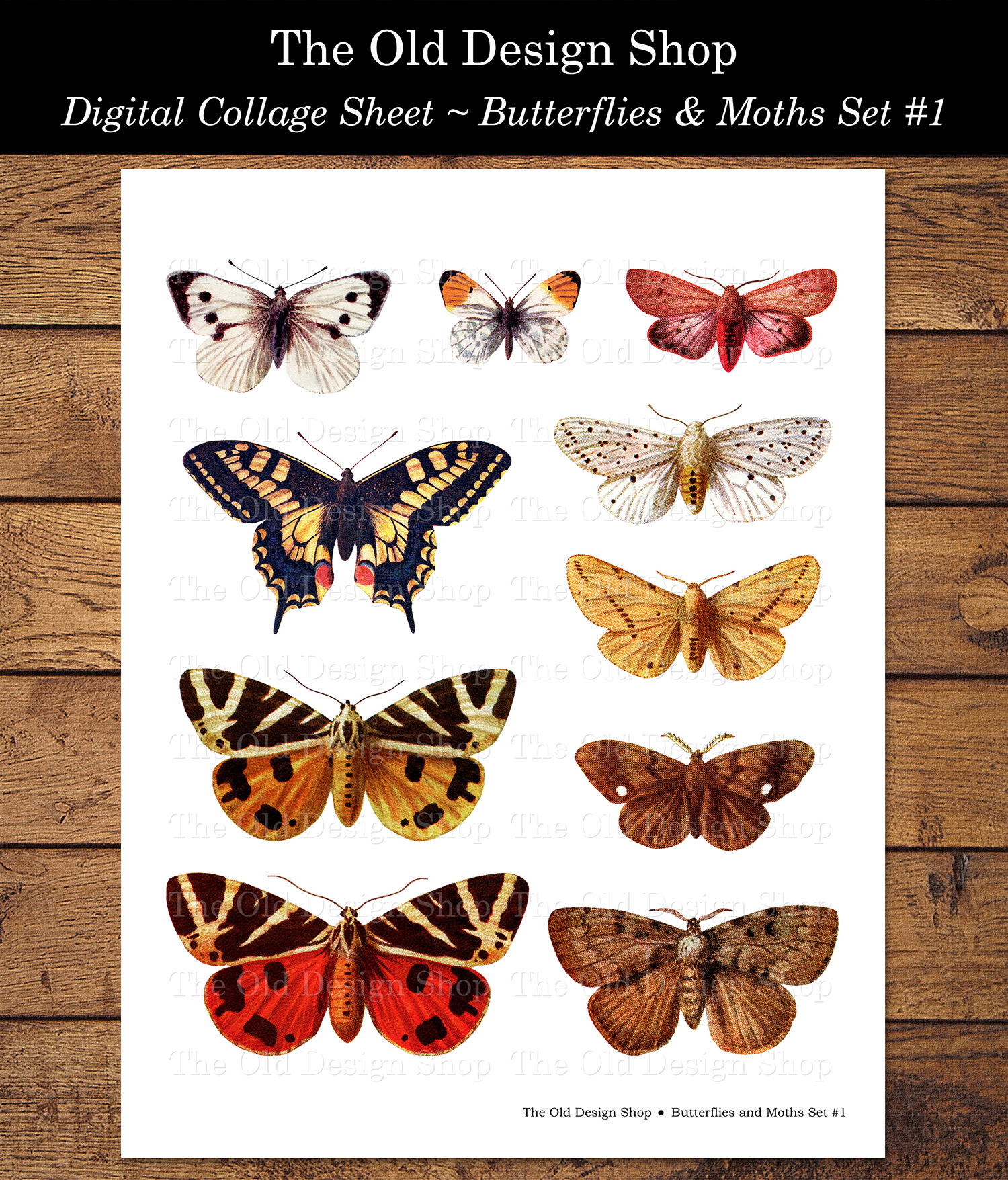 digital collage sheet butterflies