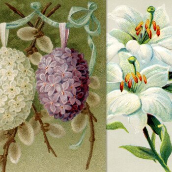 vintage Easter floral postcards