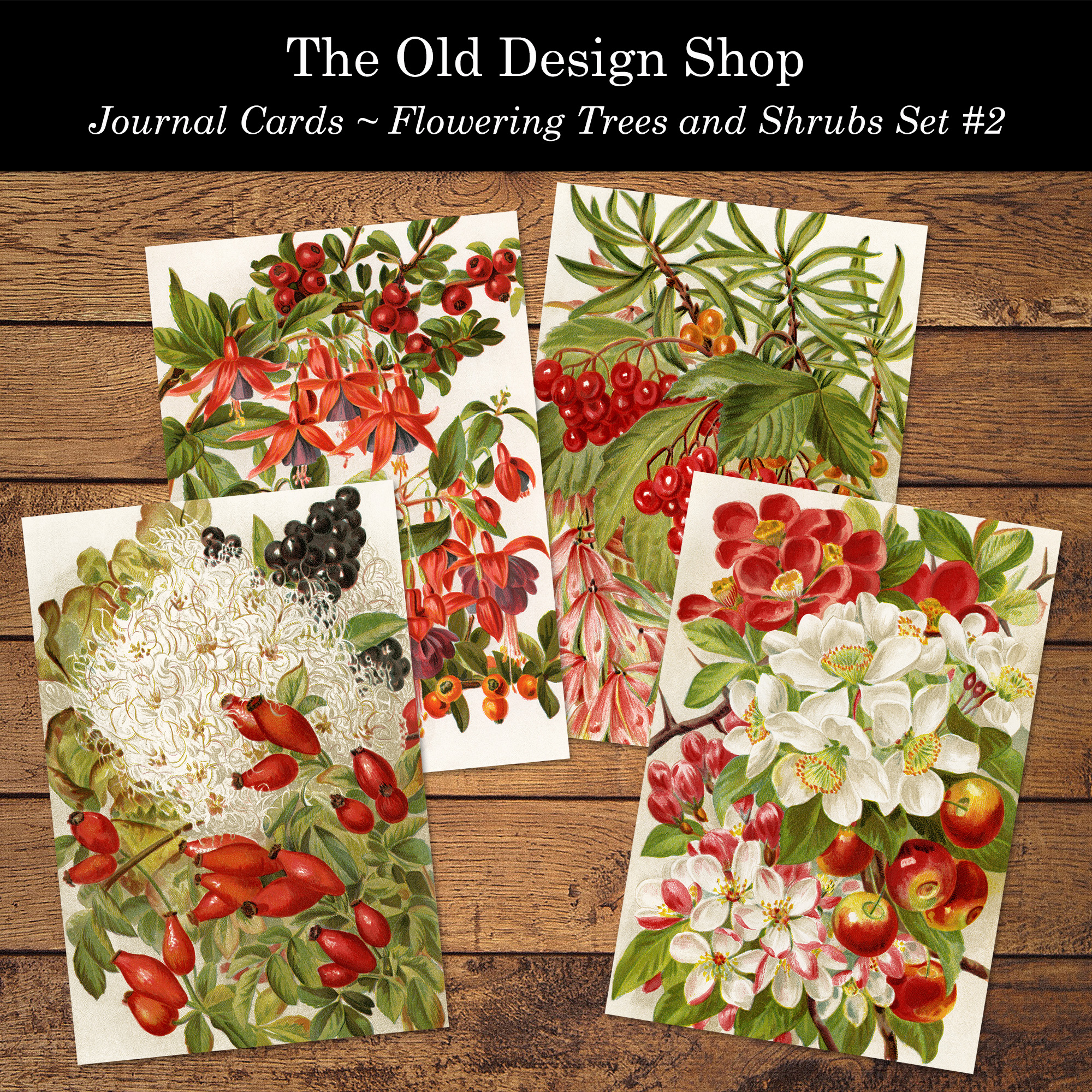 printable floral botanical journal cards