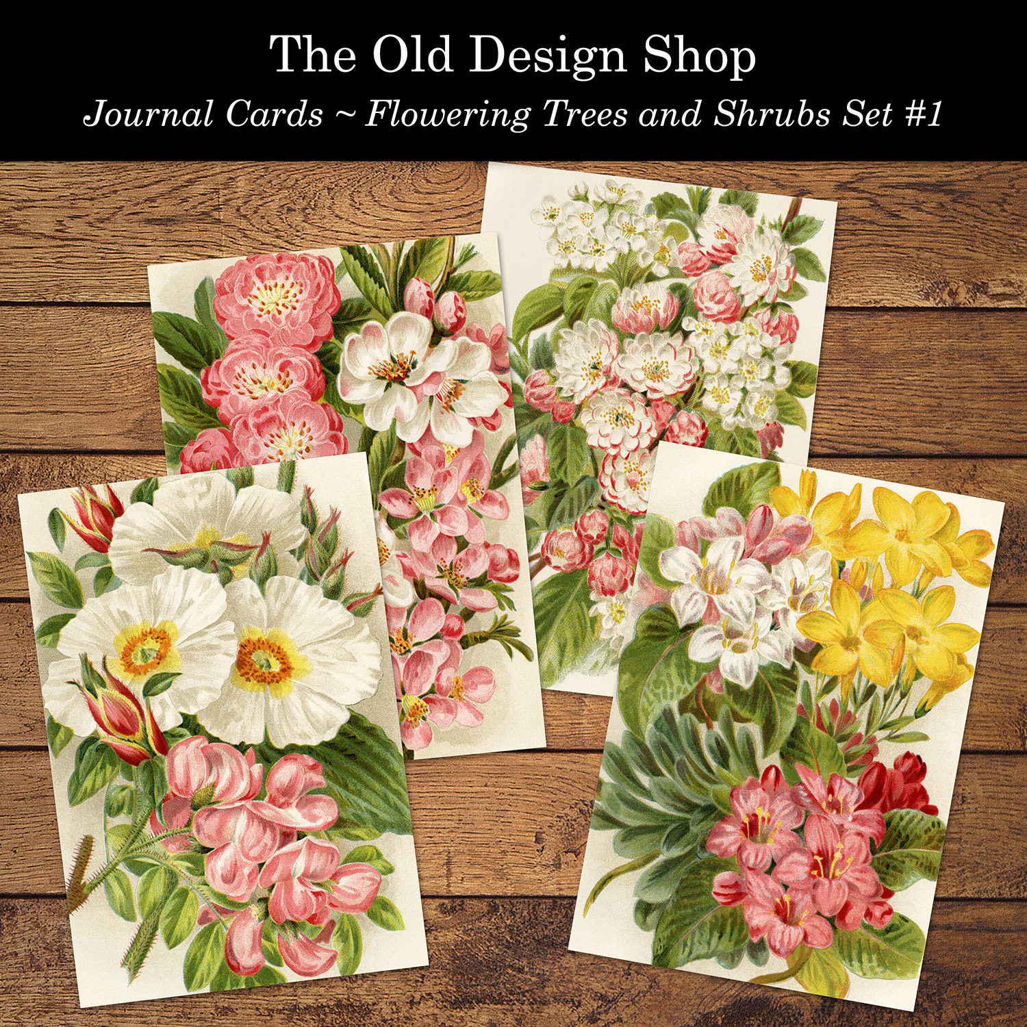 printable floral botanical journal cards 