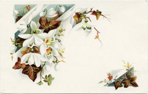 fall colored leaves white flowers vintage postcard 