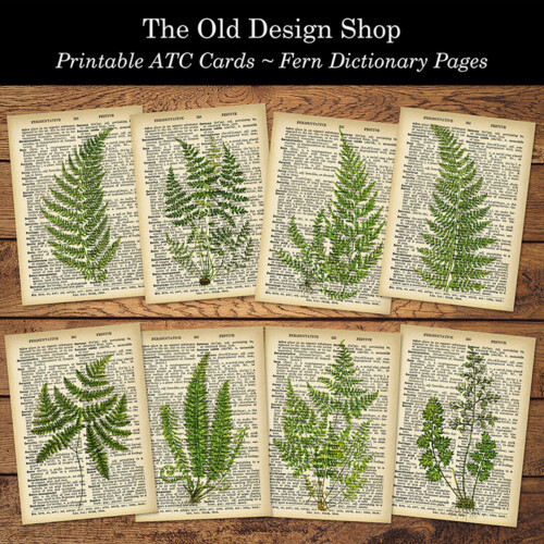 printable ATC cards fern dictionary pages