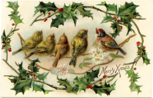 vintage Christmas bird postcard free clip art