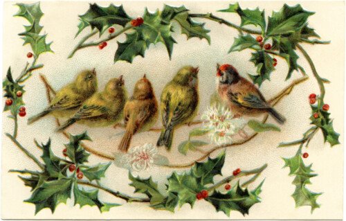 vintage Christmas bird postcard free clip art