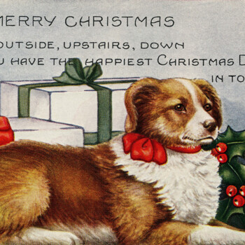 vintage Christmas dog postcard free clip art