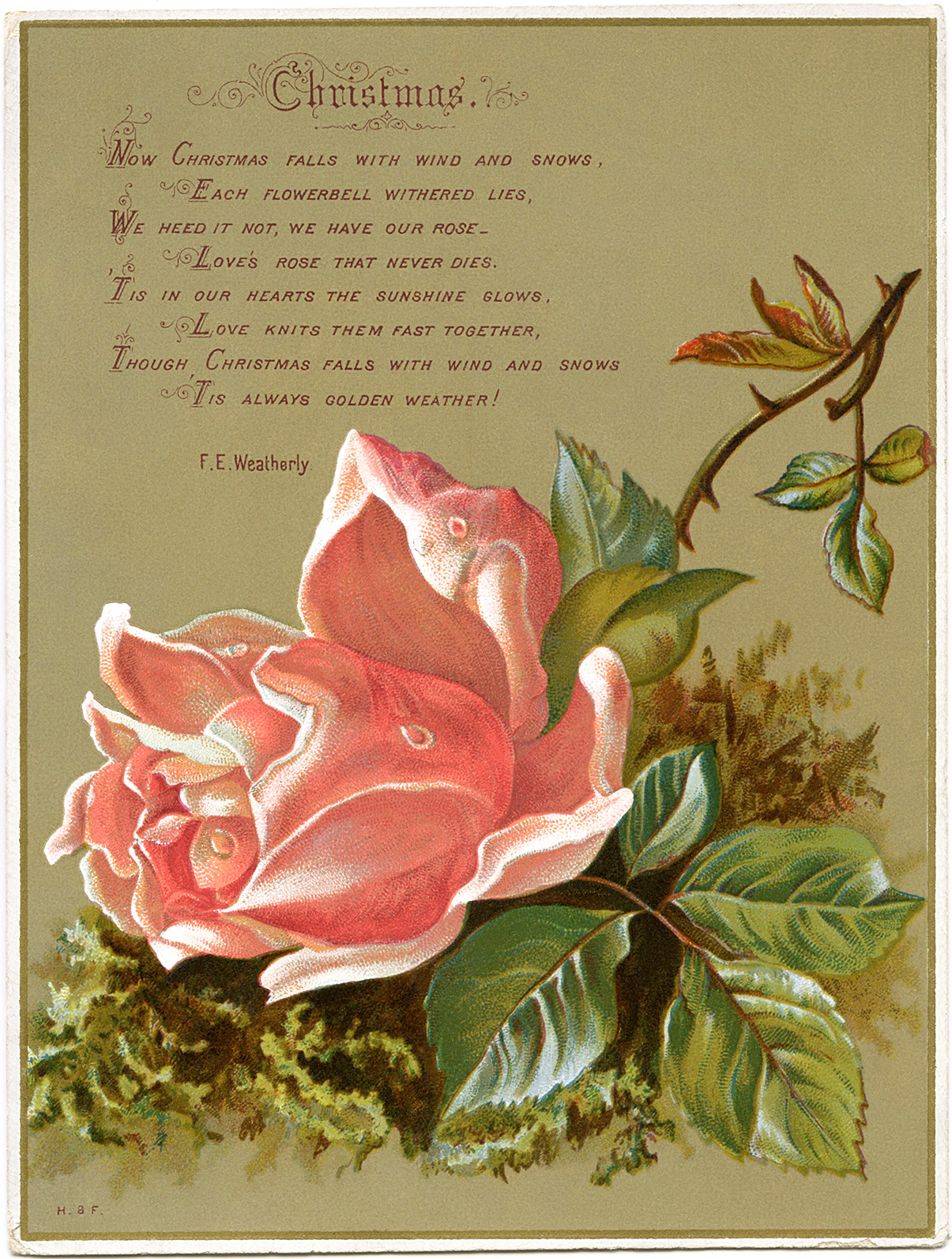 antique Christmas rose card free clip art