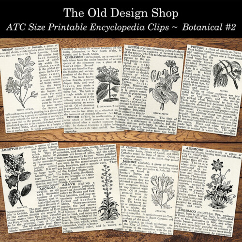 printable encyclopedia clips botanical