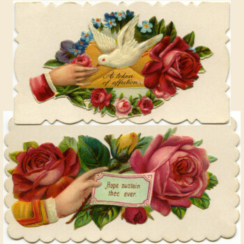 victorian calling card roses