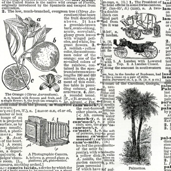 antique dictionary clippings free clip art