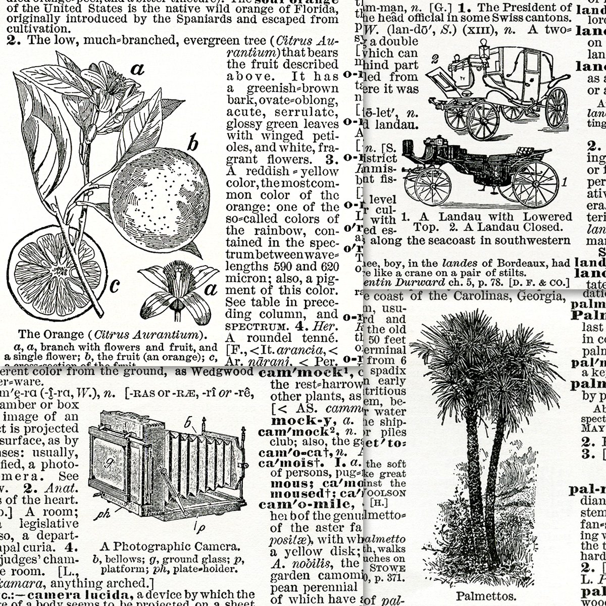 antique dictionary clippings free clip art