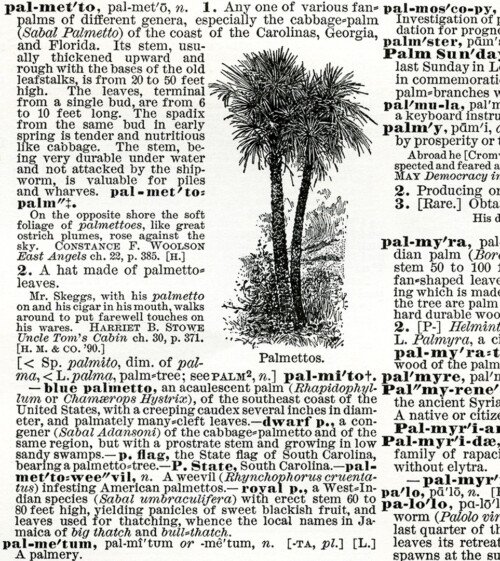 antique dictionary palmetto