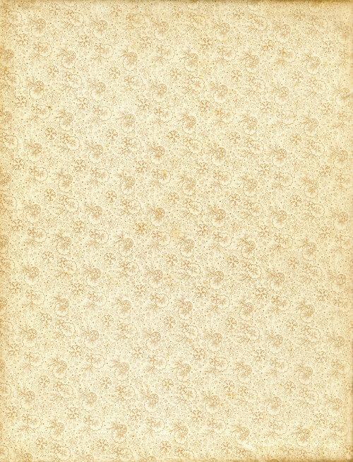 vintage floral patterened endpaper