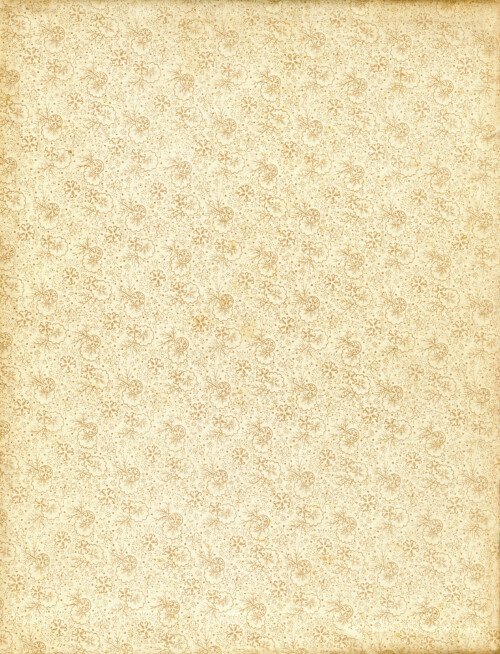 vintage floral patterened endpaper