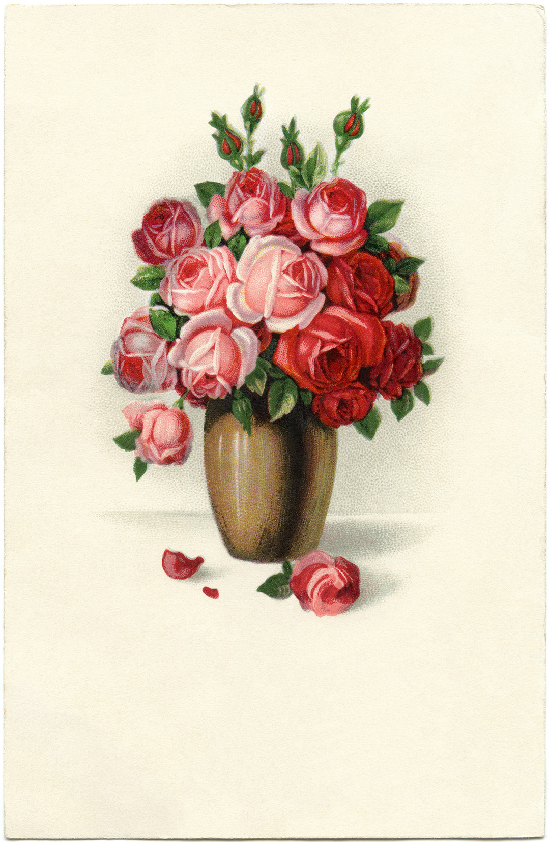 4x6 Glossy Postcards Set Vintage Botanical Postcards - 24 Antique Rose Prints | 4x6 Garden Rose Postcards For Collectors Rose Garden Postcards