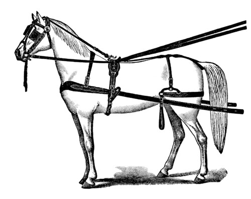 horse black and white clip art
