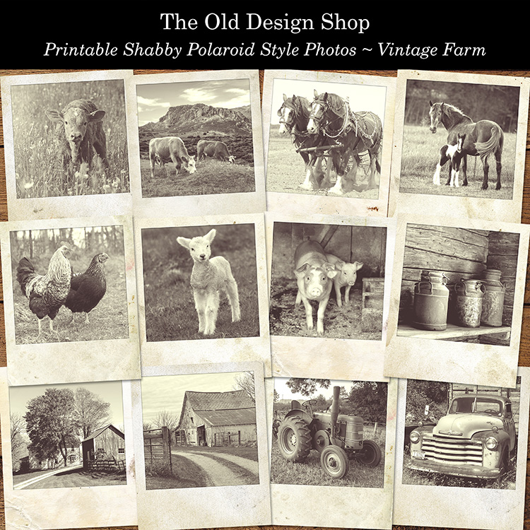 printable vintage farm polaroid photos