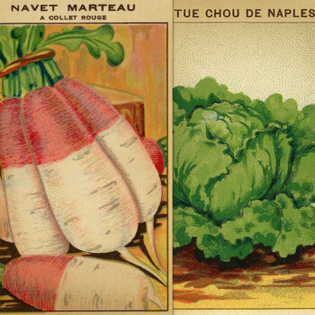 French garden seed labels