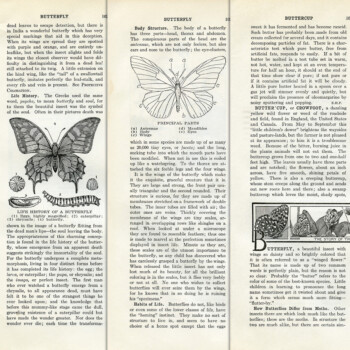 butterfly book pages