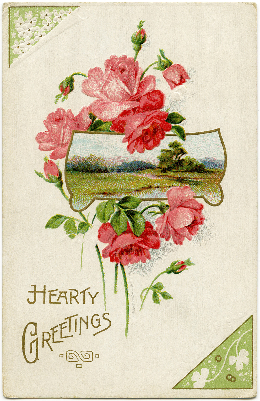 pink rose vintage postcard