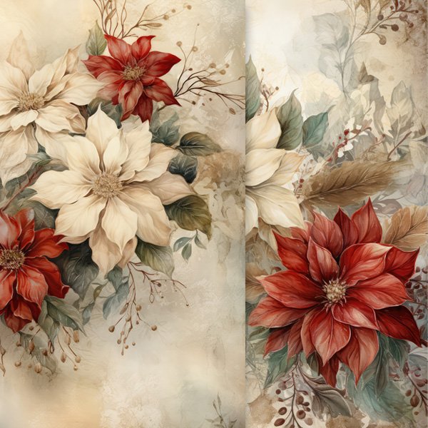 charming poinsettia illustrations