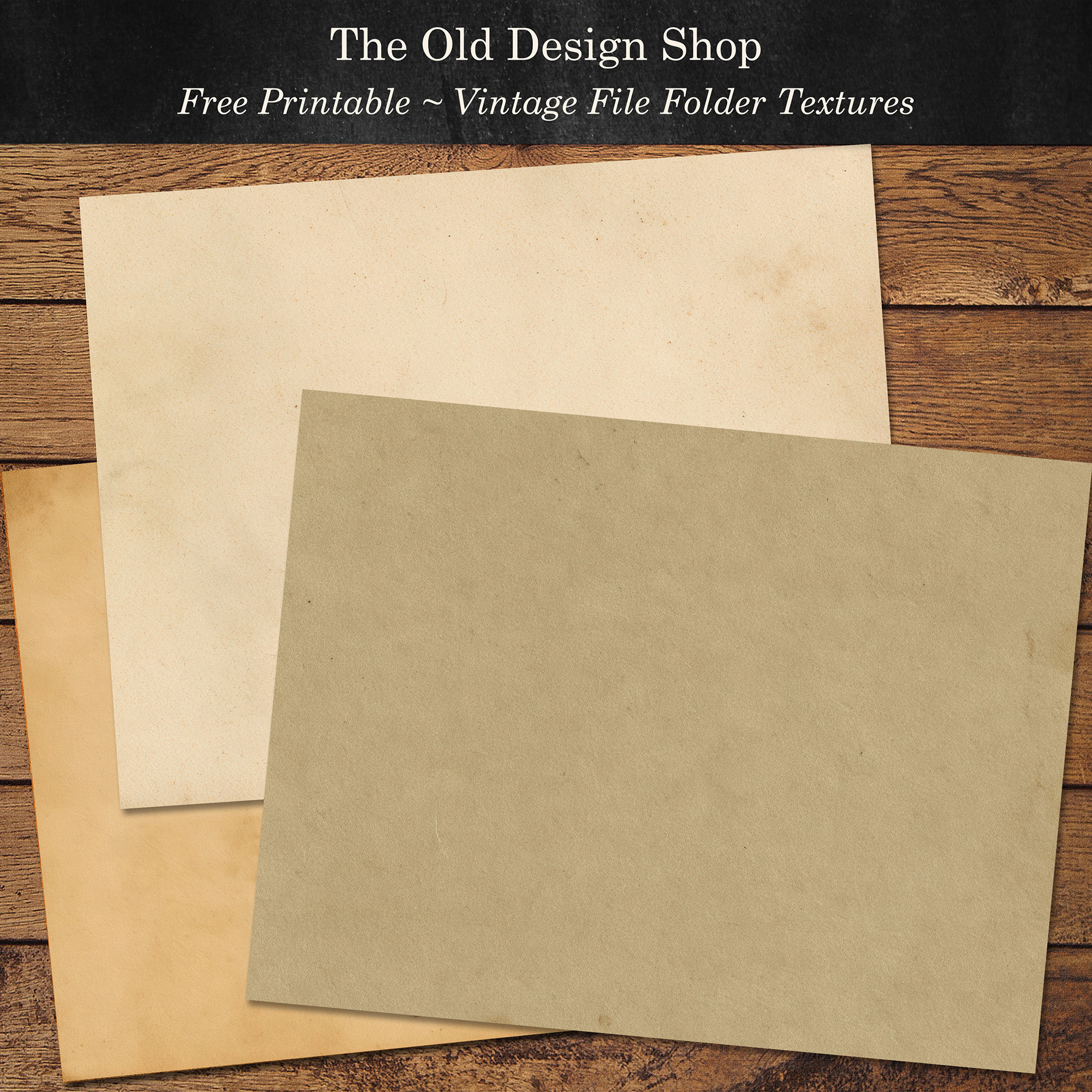 Three free vintage file folder textures in cream, muted green, and golden manila.