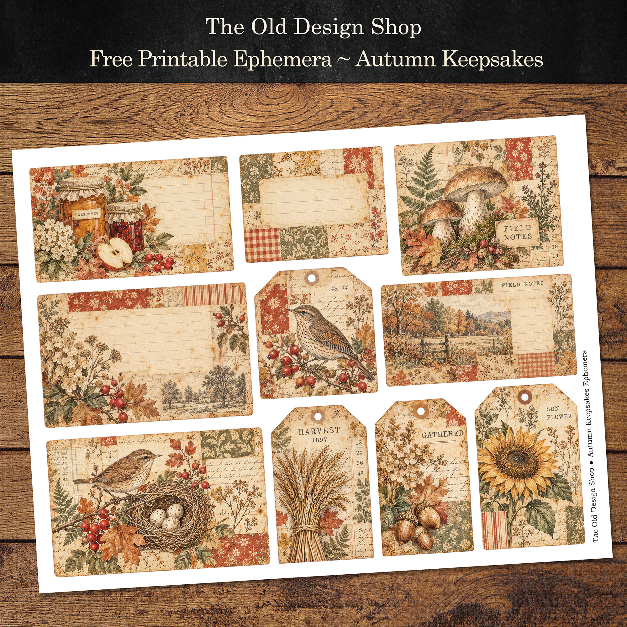 Free Autumn Keepsakes Ephemera printable sheet with vintage woodland birds, mushrooms, sunflowers and autumn botanicals.